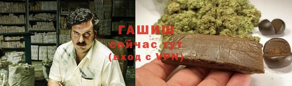 гашик Абаза