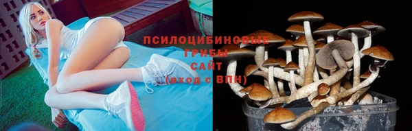 спиды Абдулино