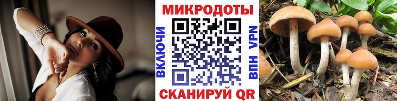 Галлюциногенные грибы прущие грибы Слюдянка