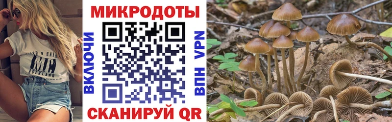 Псилоцибиновые грибы Psilocybe закладки гидра как войти Слюдянка